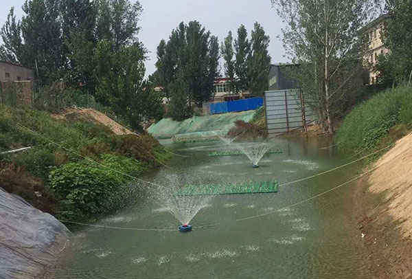 河道、納污坑塘治理修復(fù)類(lèi)
